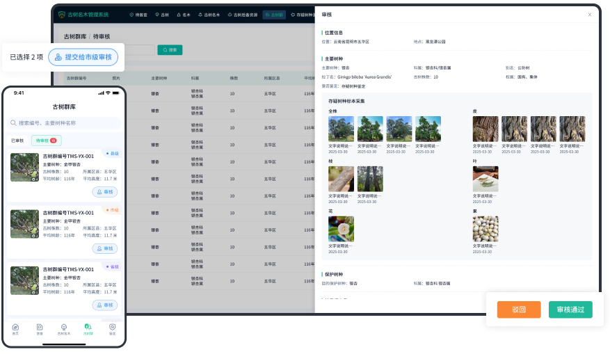 省市级各级审批
